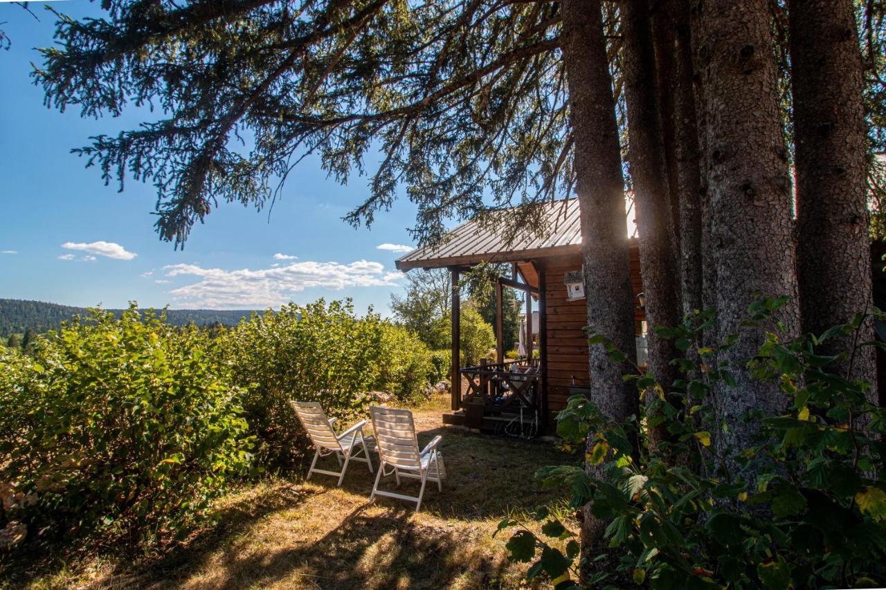 Chalet Du Bois Joli Saint-Laurent-en-Grandvaux Buitenkant foto