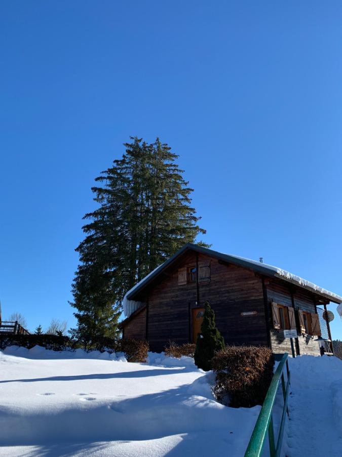 Chalet Du Bois Joli Saint-Laurent-en-Grandvaux Buitenkant foto