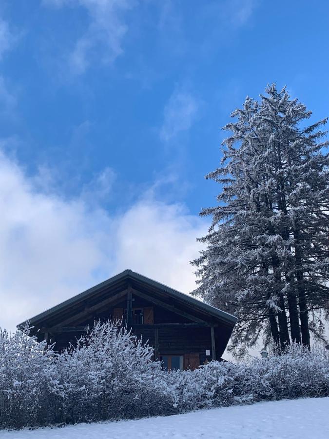 Chalet Du Bois Joli Saint-Laurent-en-Grandvaux Buitenkant foto